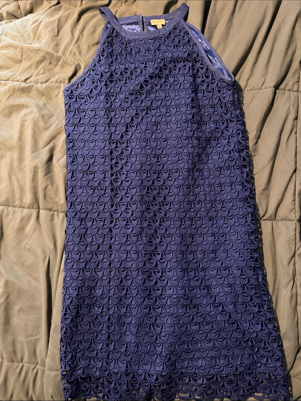 Royal Blue Lace Sleeveless Shift Dress